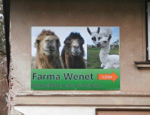 Reklamní cedule - farma Wenet